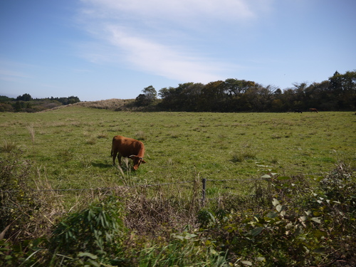 d0324385_13505463.jpg