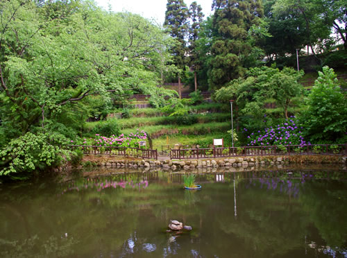 b0123486_14424793.jpg