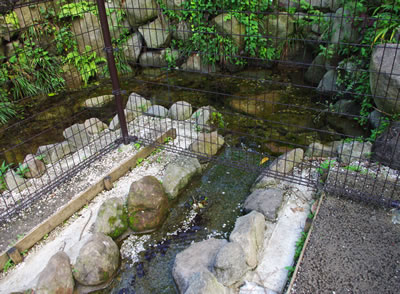 b0123486_1526516.jpg