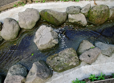 b0123486_15323537.jpg