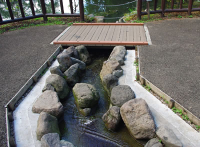 b0123486_15343861.jpg