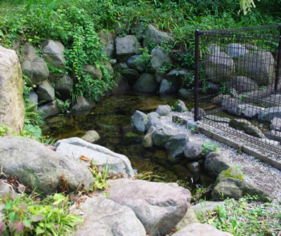 b0123486_15423554.jpg