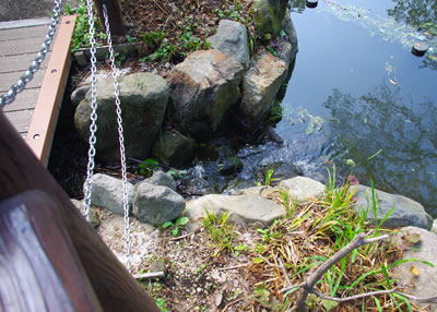 b0123486_15554323.jpg