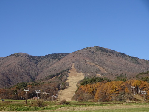 c0223286_17283388.jpg