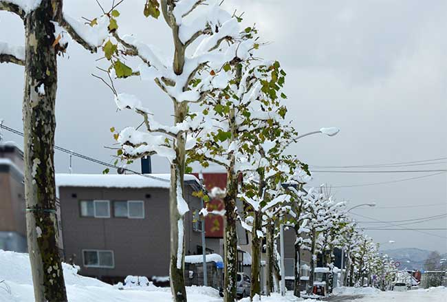 f0212586_764288.jpg