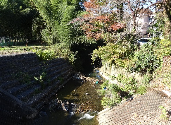 d0183387_17432530.jpg