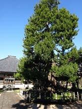 d0183387_18543766.jpg