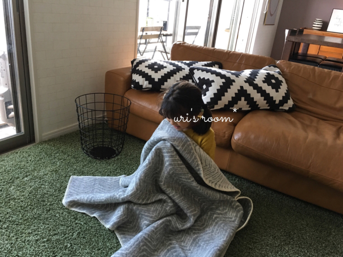 リビングに冬用ブランケット!それから息子の部屋がますます酷い件。_a0341288_17513618.jpg