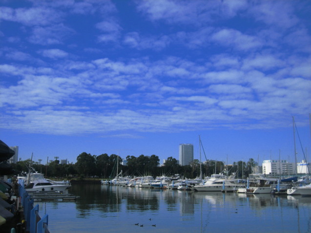 b0014392_00361379.jpg