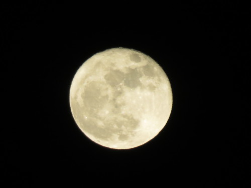 スーパームーン_f0204295_19580947.jpg