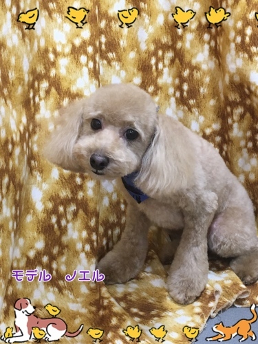 d0269898_11225292.jpeg