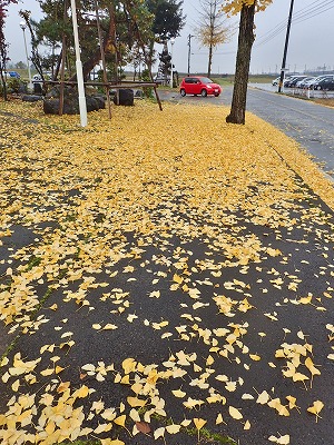 雨降りの配送日でした_c0336902_19464416.jpg