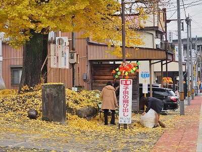 銀杏の落ち葉掻き_c0336902_2003639.jpg