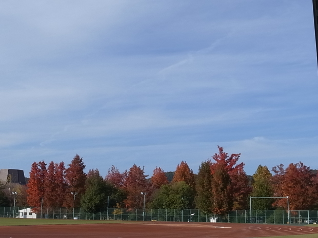 岡山県総合グラウンドの紅葉　２０１６年_f0197703_15242982.jpg