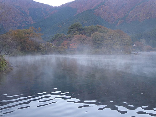 木と戯れ、秋を満喫した極上キャンプ!_c0137404_2112349.jpg