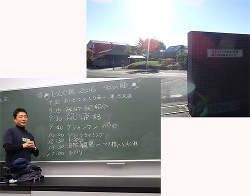 木と戯れ、秋を満喫した極上キャンプ!_c0137404_2175452.jpg