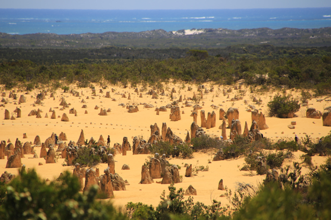 The Pinnacles_f0179404_22051772.jpg