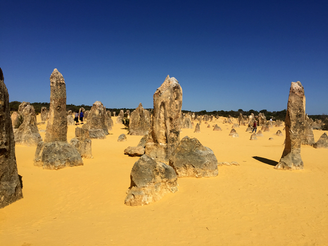 The Pinnacles_f0179404_22140362.jpg