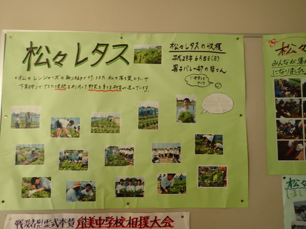 c0367107_10052826.jpg