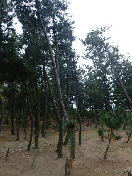 c0367107_10065002.jpg