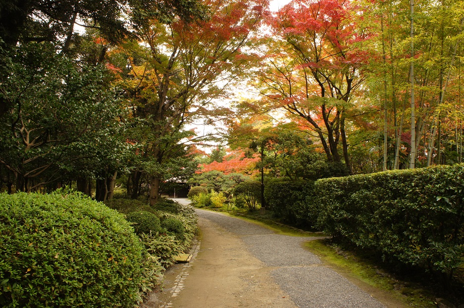 国宝茶室如庵の特別見学会_b0112909_20581313.jpg