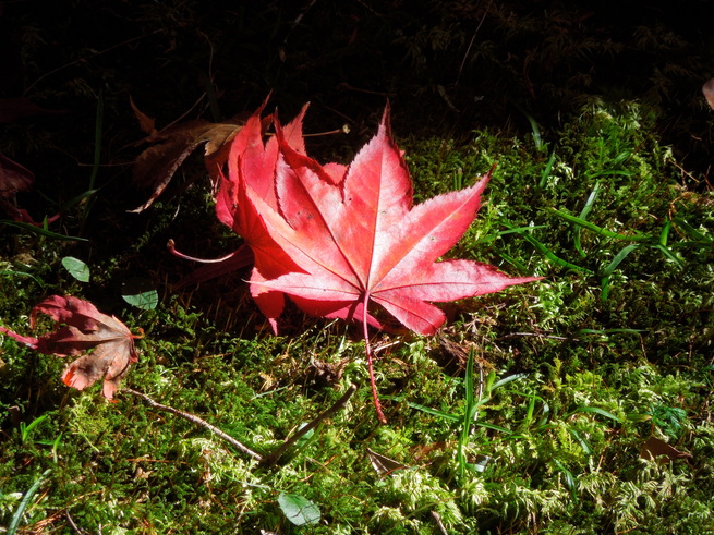 f0297809_2341345.jpg