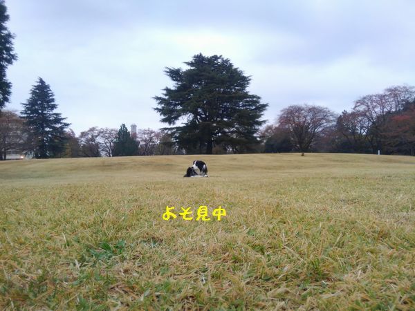 d0224111_20330956.jpg