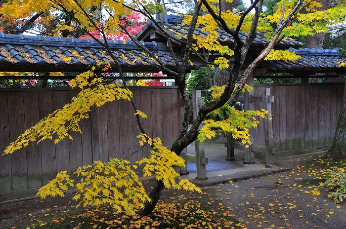 豪農の館.市島邸を彩る_a0085712_1513436.jpg