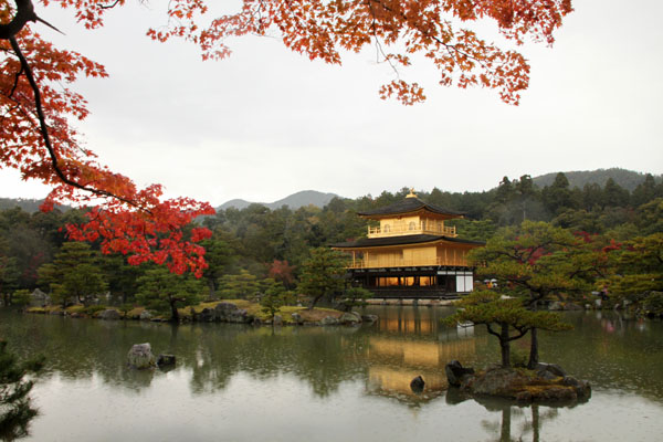 紅葉探訪8 金閣寺と妙満寺_e0048413_21482381.jpg