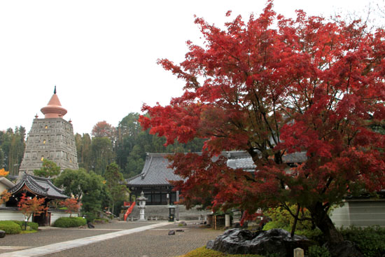 紅葉探訪8 金閣寺と妙満寺_e0048413_21494135.jpg