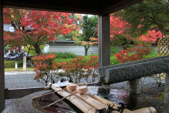 紅葉探訪8 金閣寺と妙満寺_e0048413_21495766.jpg