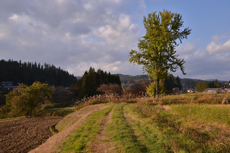e0349817_22080444.jpg