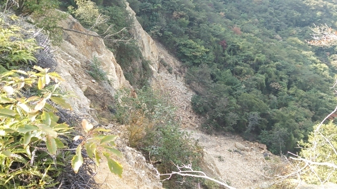 登山(三原連山)_c0339918_14530207.jpg