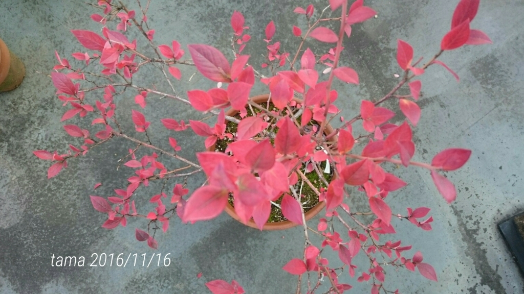 f0339422_09190639.jpg