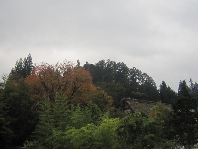 d0162225_15413219.jpg