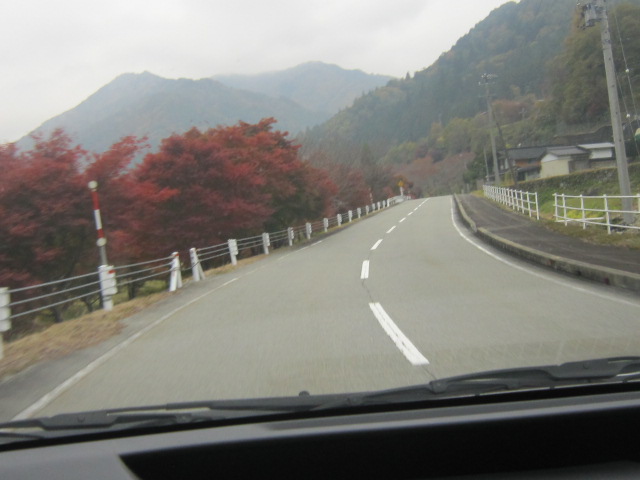 d0162225_16392520.jpg