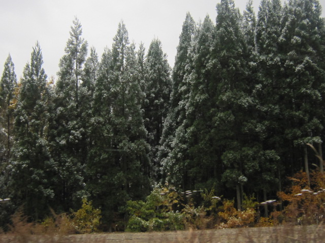 d0162225_20491212.jpg