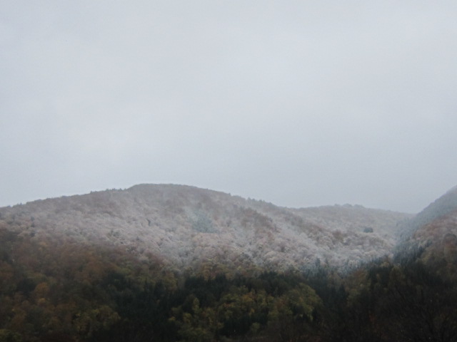 d0162225_215395.jpg