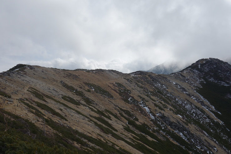 a0287336_0503987.jpg