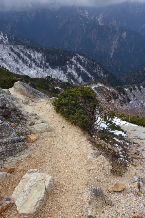 a0287336_17546.jpg