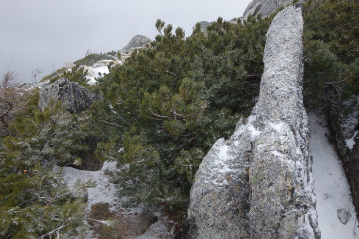 a0287336_212010.jpg