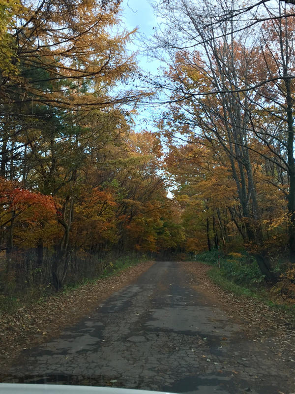 c0225536_20491051.jpg