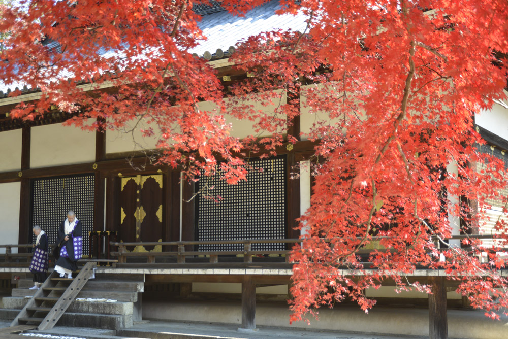 それでも京都が好き（改訂版）_b0042837_1652113.jpg