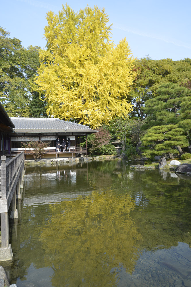 b0042837_176953.jpg