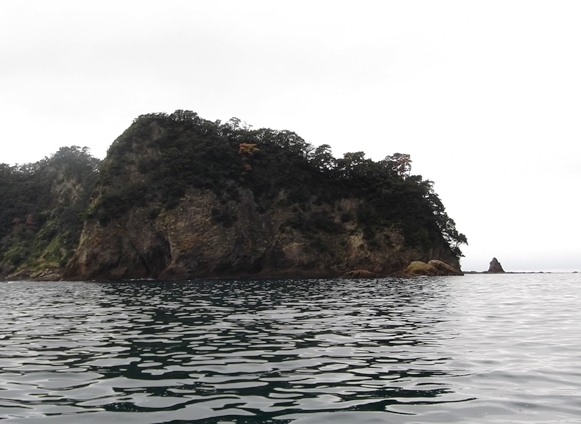 c0051938_17042600.jpg