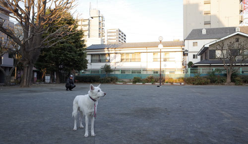 a0117039_23473129.jpg