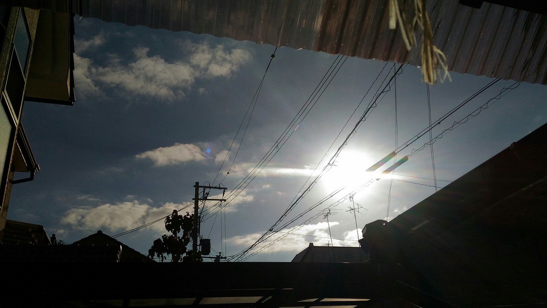 d0343540_18382477.jpg