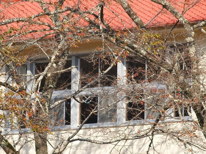 c0281841_15401894.jpg
