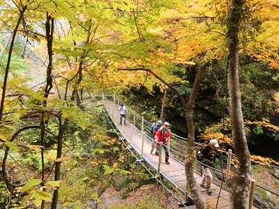 フォトウォーク大柳川渓谷_f0019247_22223662.jpg