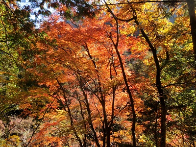 フォトウォーク大柳川渓谷_f0019247_22311670.jpg